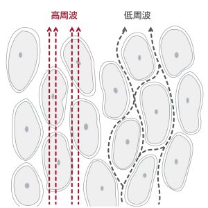 HP測定技術