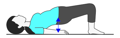 公式 体成分分析装置inbody インボディ