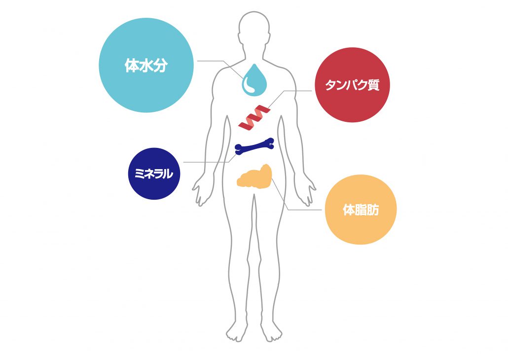 公式 体成分分析装置inbody インボディ