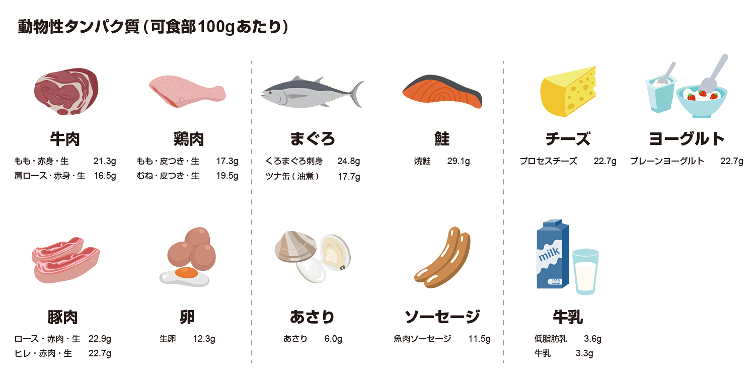 の 多い 食べ物 タンパク質