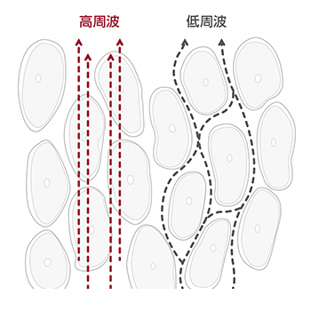 公式 体成分分析装置inbody インボディ
